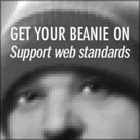 Blue Beanie Day 2011 Banner